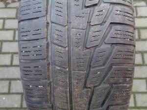 NOKIAN WR G2 185/65 R15