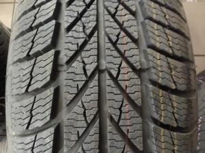 GISLAVED Euro frost 5 195/65 R15 (demo)
