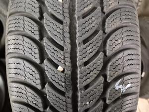 SAVA Eskimo S3+ 195/65 R15